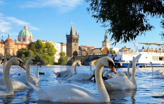 1 heure Croisière sur la rivière + Audio Guide (Prague)