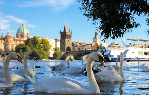 Giro in battello di un'ora sul fiume + Audio guida (Praga)