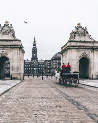 Christiansborg: Full Palace Access