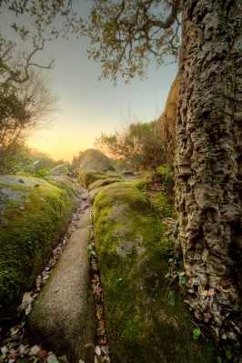 Convent of the Capuchos