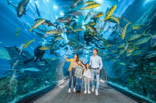 Dubai Aquarium + Underwater Zoo