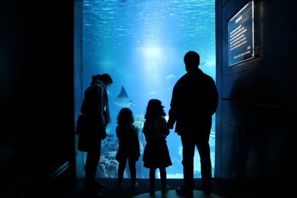 Oceanario de Lisboa (Oceanário de Lisboa)