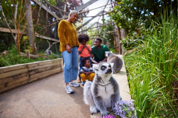 Londoner Zoo