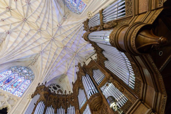 Cathédrale Saint-Patrick : visite officielle