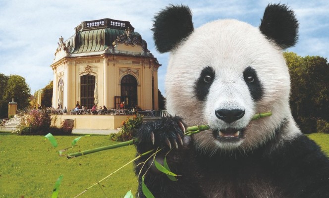 Tiergarten Schönbrunn: Pular a linha